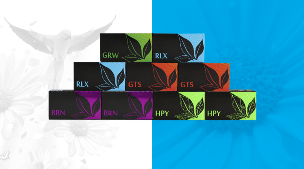 KIT „ბუნების ენერგია“