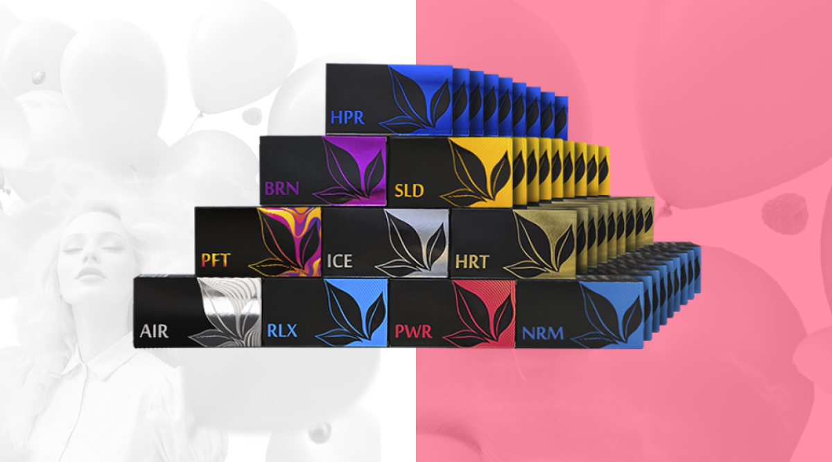 KIT „გრანდიოზული გეგმები“