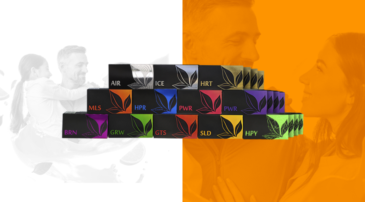 KIT „ბედნიერები — ერთად“