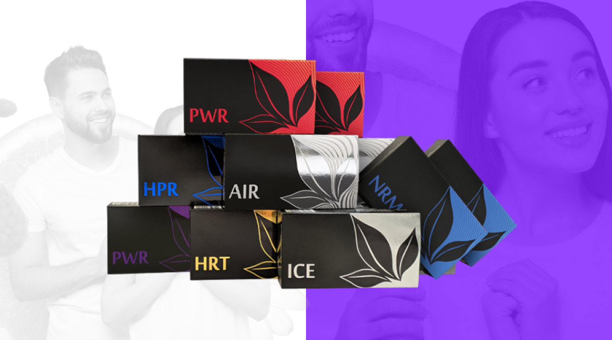 KIT „ტაქტიანი“