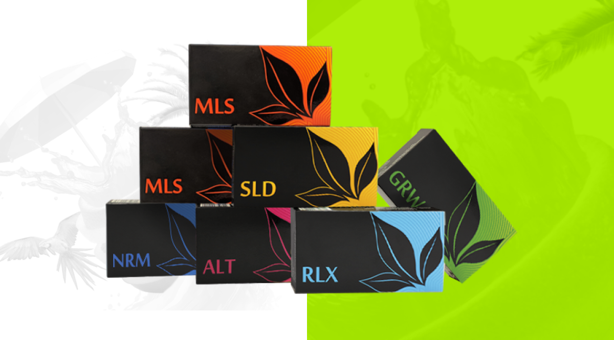 KIT „იცხოვრეთ საუკეთესო ცხოვრებით“